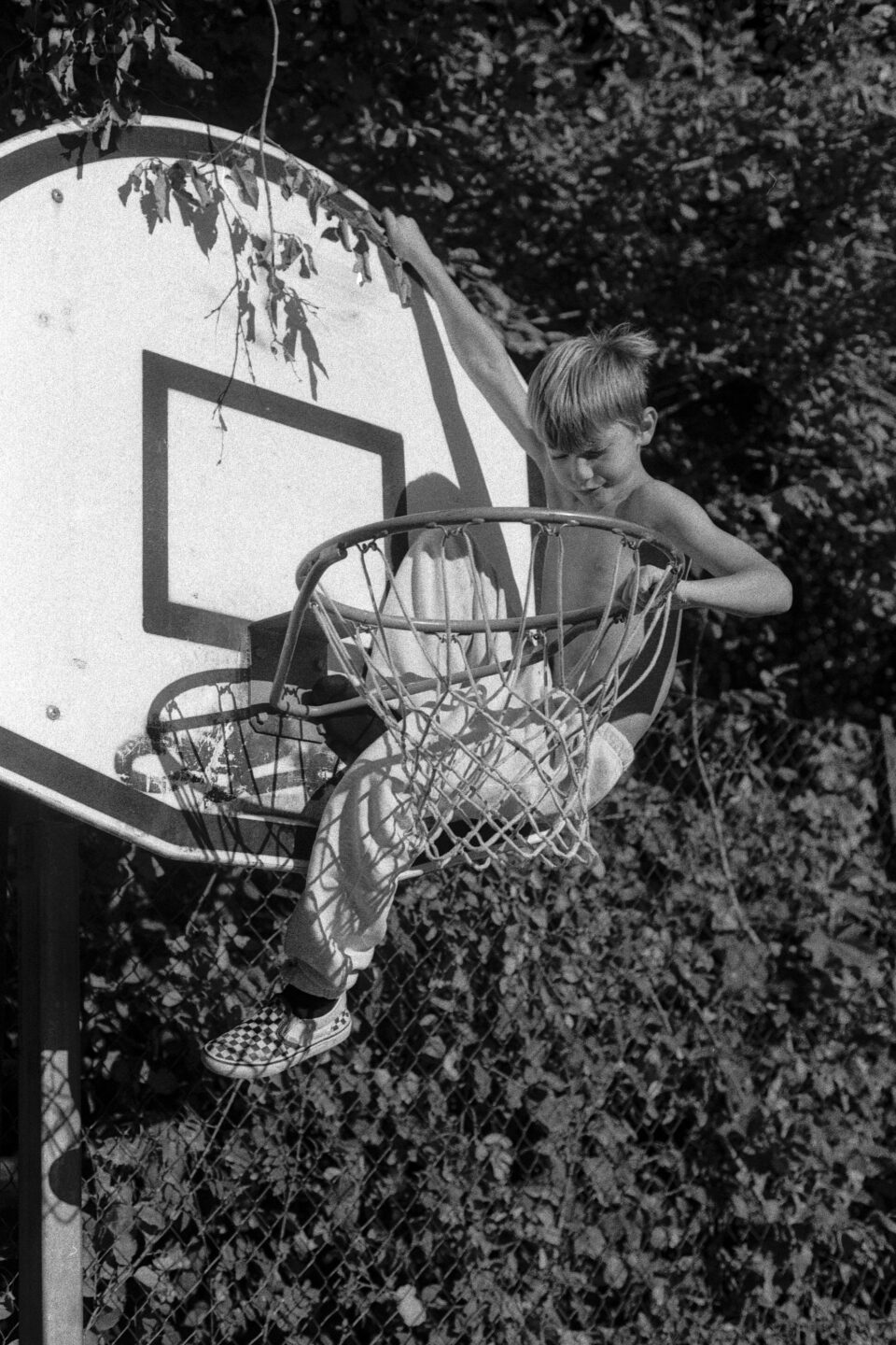 Basket hoop