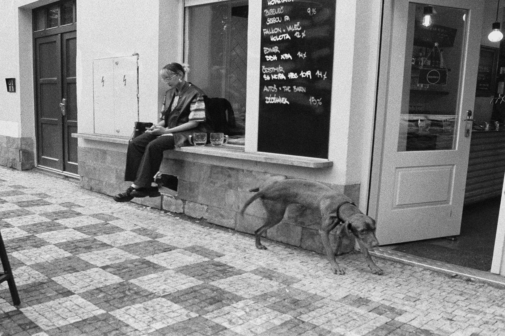 Dog peeing on a wall